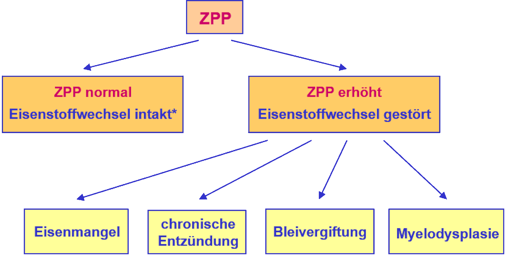 ZPP als Screeningparameter des Eisenstoffwechsels