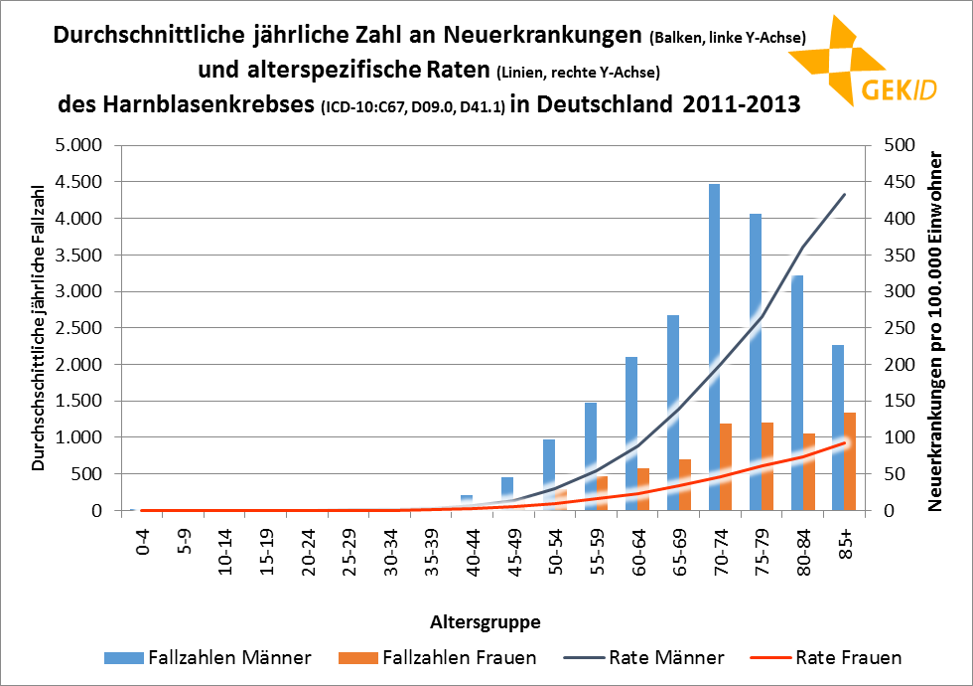Altersspezifische Erkrankungszahlen (Balken, linke Y-Achse) und altersspezifische Erkrankungsraten (Linien, rechte Y-Achse) des Harnblasenkrebses in Deutschland